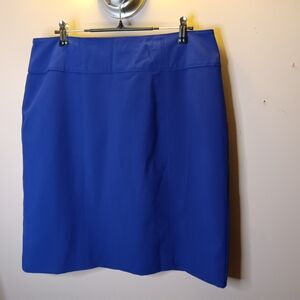 Elegant Blue Women's Skirt